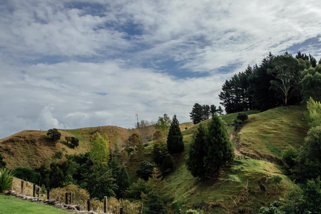 Luxury Stay, Alpaca Farm Paraparaumu Ngoại thất bức ảnh