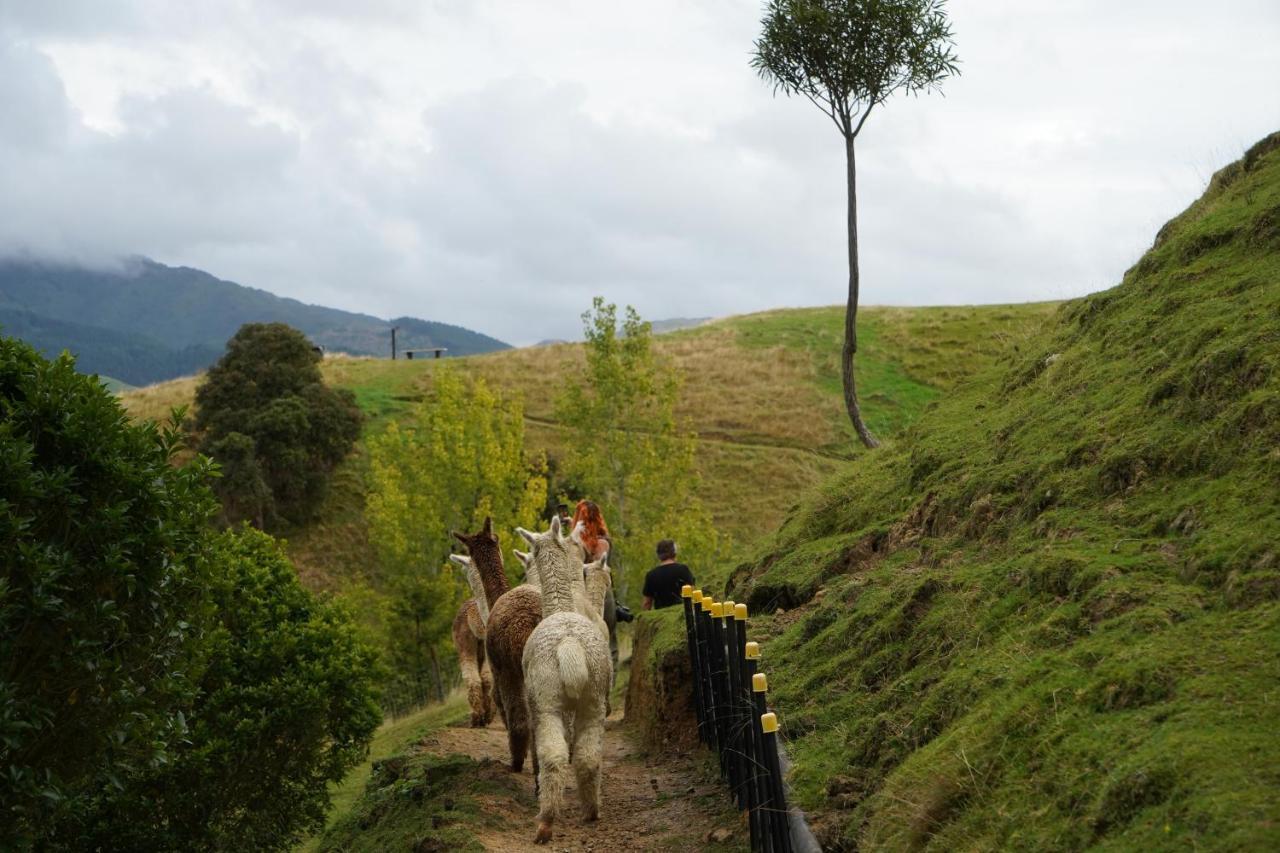Luxury Stay, Alpaca Farm Paraparaumu Ngoại thất bức ảnh