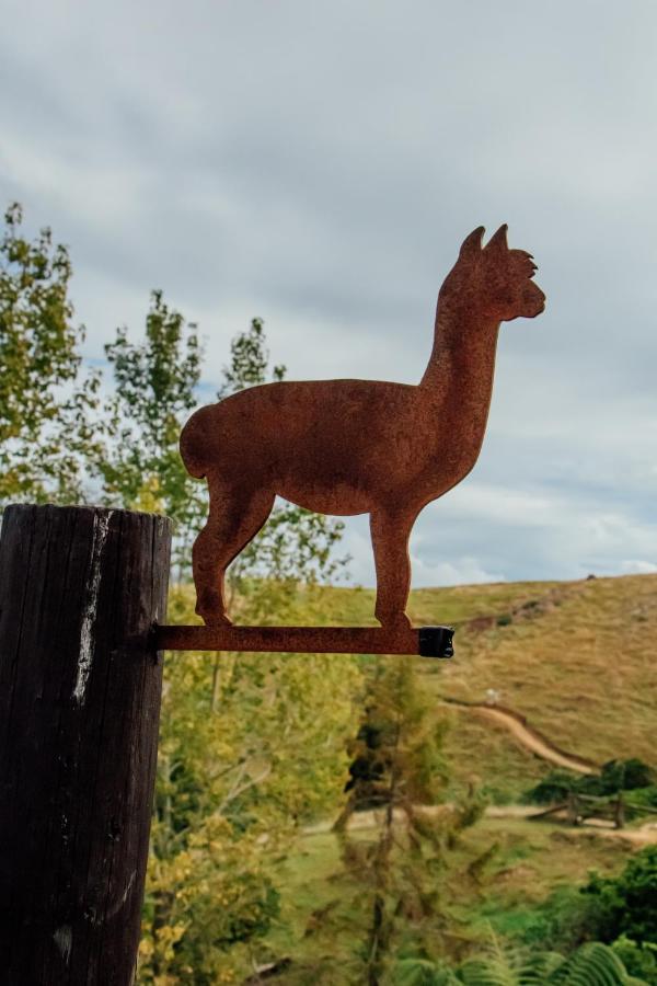 Luxury Stay, Alpaca Farm Paraparaumu Ngoại thất bức ảnh