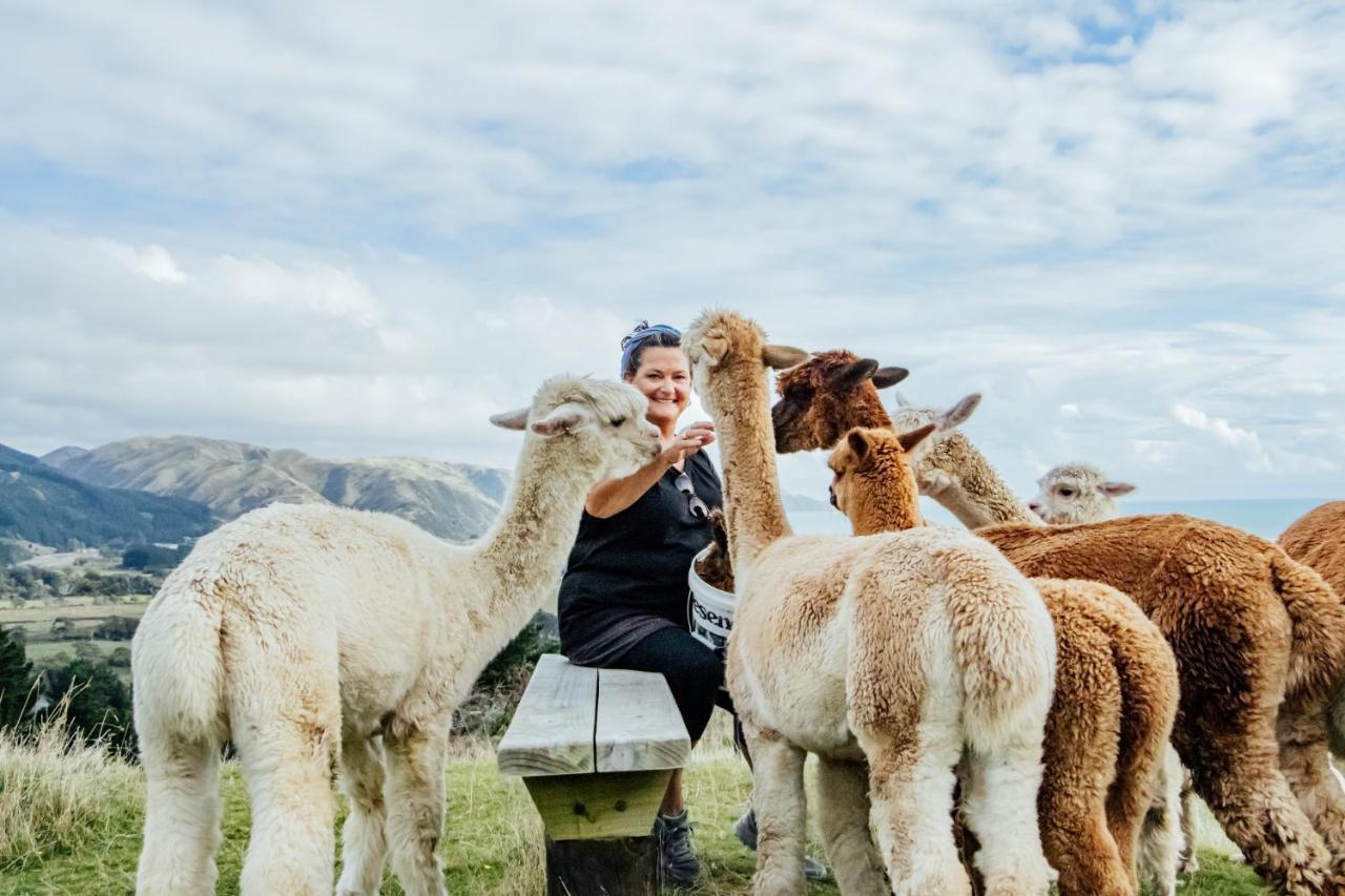 Luxury Stay, Alpaca Farm Paraparaumu Ngoại thất bức ảnh
