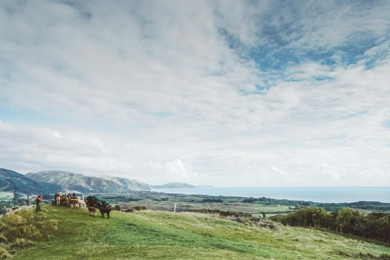 Luxury Stay, Alpaca Farm Paraparaumu Ngoại thất bức ảnh